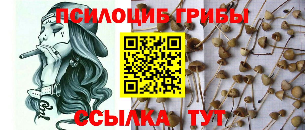 Галлюциногенные грибы мухоморы Каменск-Уральский